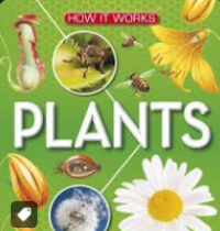 Plants