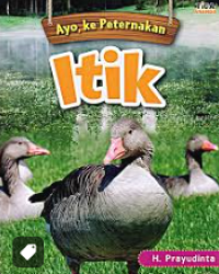 Ayo, ke Peternakan Itik