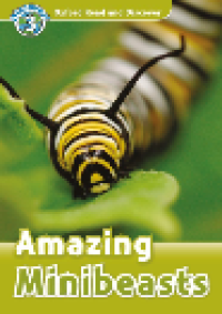 Amazing Minibeasts