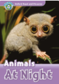 Animals At Night