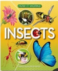 Insects
