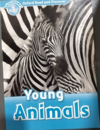 Young animal
